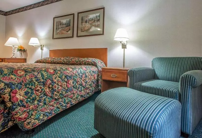 ホテル Rodeway Inn