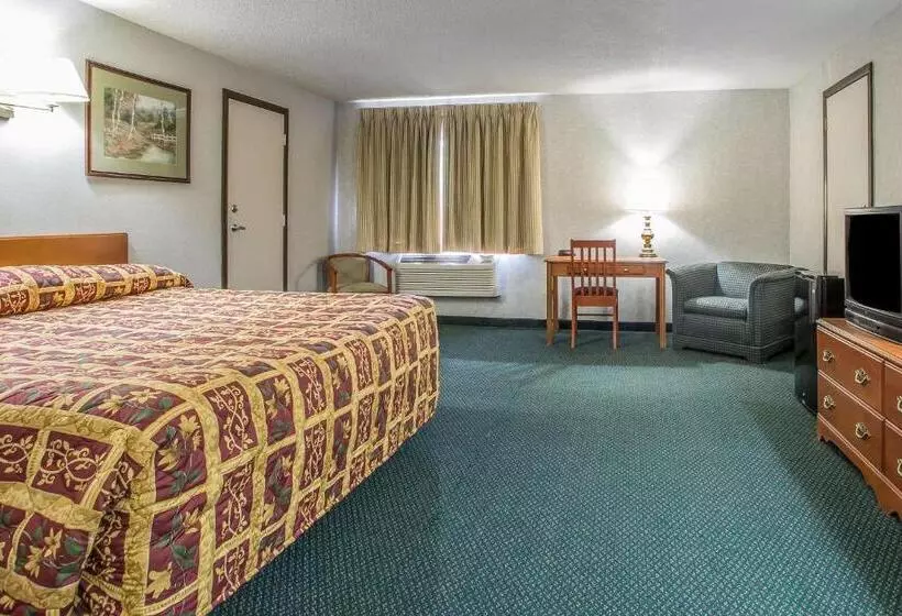 ホテル Rodeway Inn