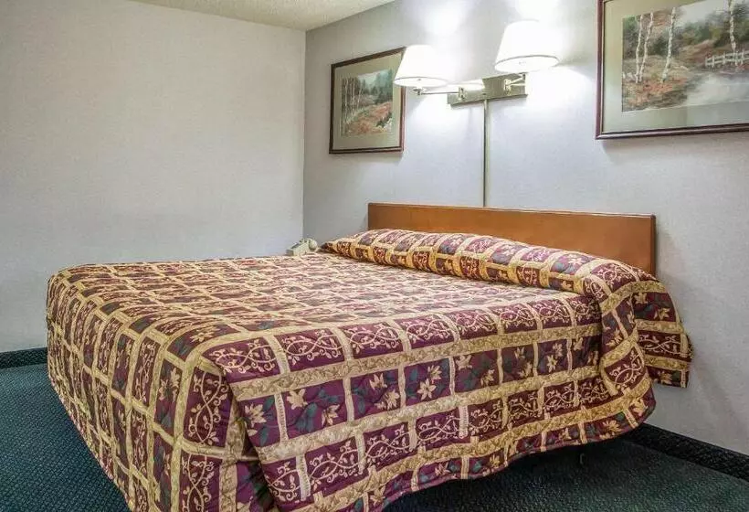 ホテル Rodeway Inn