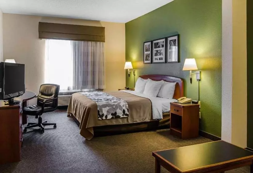 בית מלון כפרי Sleep Inn & Suites Danville Hwy 58