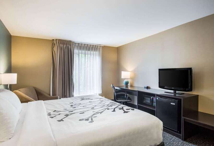 Отель Sleep Inn & Suites