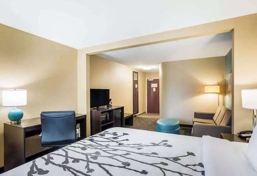 Отель Sleep Inn & Suites