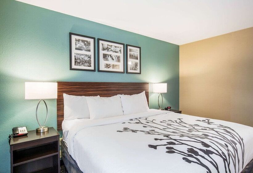 Отель Sleep Inn & Suites