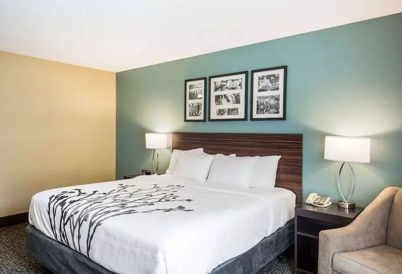 Отель Sleep Inn & Suites