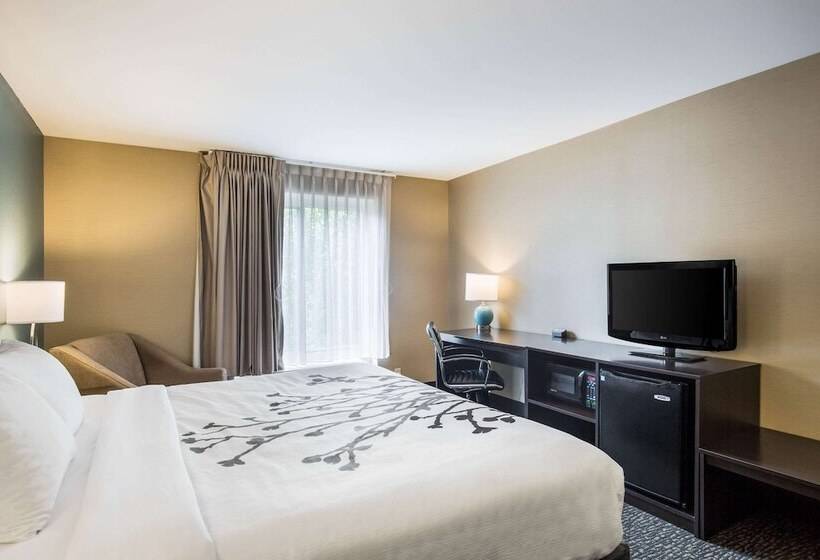 Отель Sleep Inn & Suites