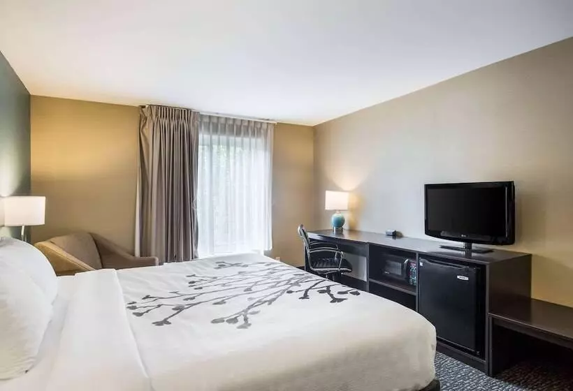 Отель Sleep Inn & Suites