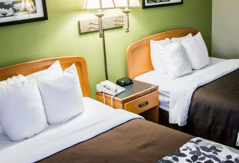 בית מלון כפרי Sleep Inn & Suites Pineville  Alexandria