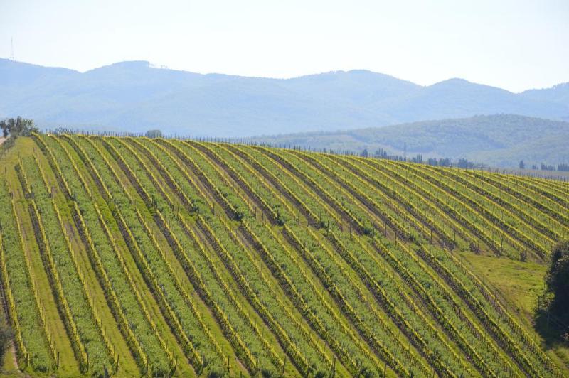 호텔 Wine Resort Dievole