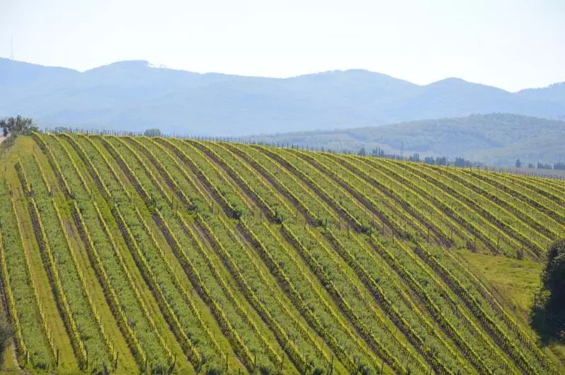 ホテル Wine Resort Dievole