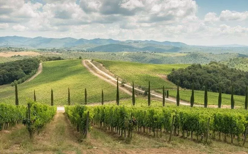 ホテル Wine Resort Dievole