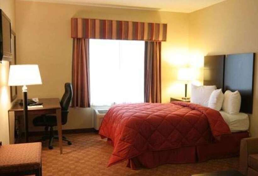 汽车旅馆  Comfort Inn & Suites Saratoga Springs