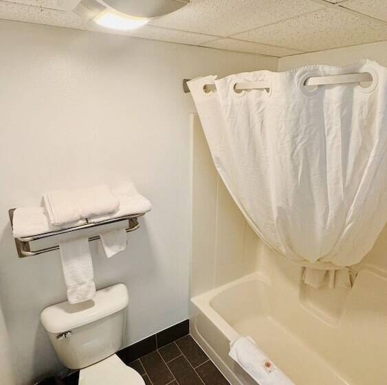 فندق على الطريق Forest City Inn