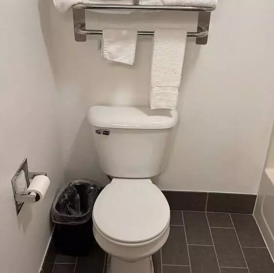 汽车旅馆 Forest City Inn