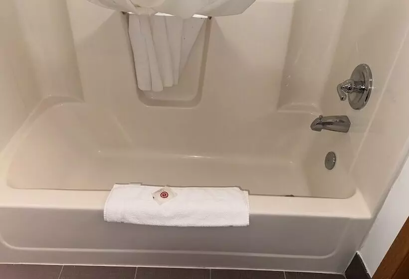 汽车旅馆 Forest City Inn