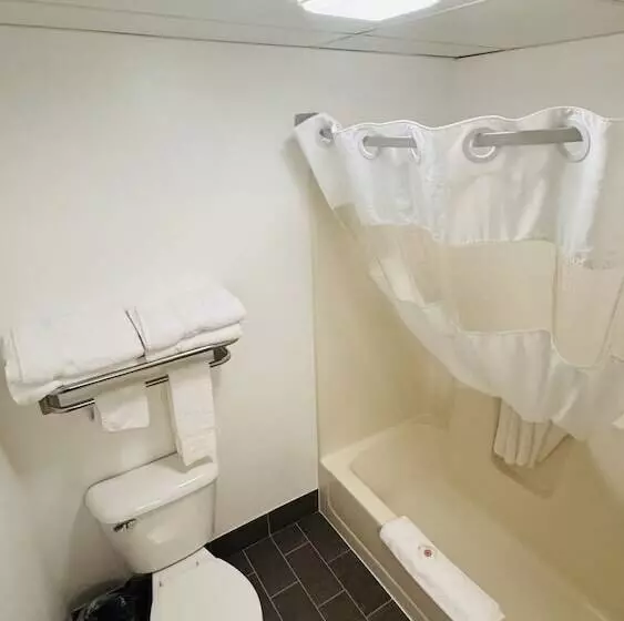 汽车旅馆 Forest City Inn