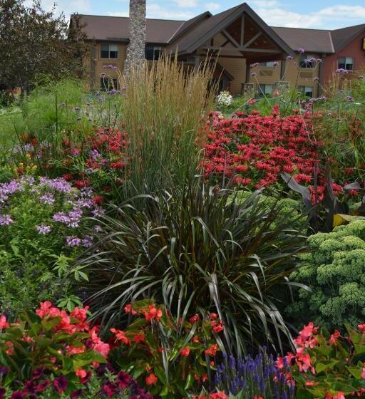 汽车旅馆 I M Hotel By Timberlake