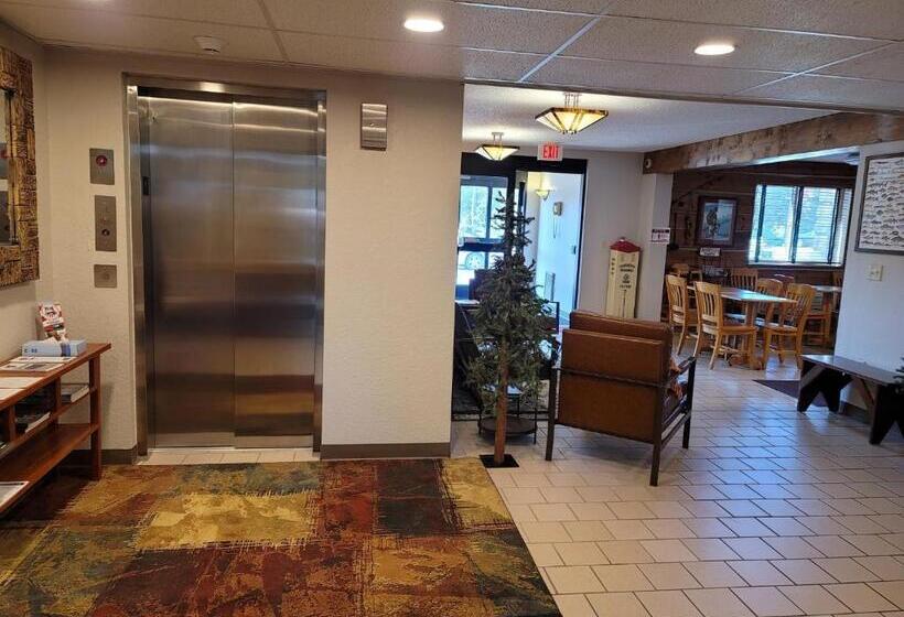 汽车旅馆 I M Hotel By Timberlake