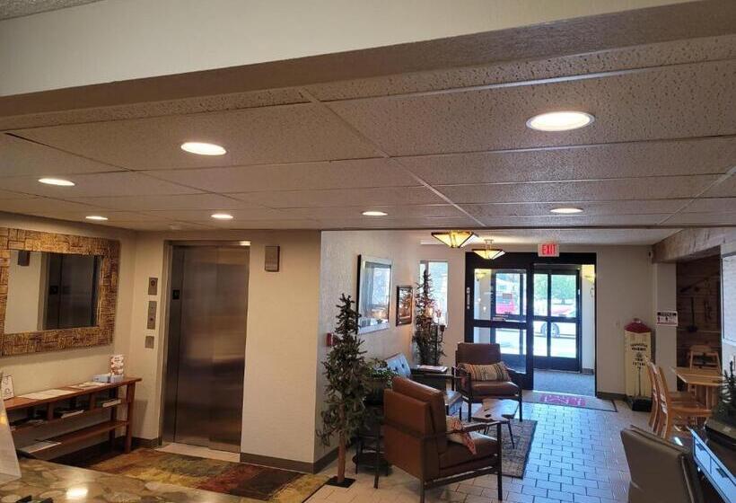 汽车旅馆 I M Hotel By Timberlake