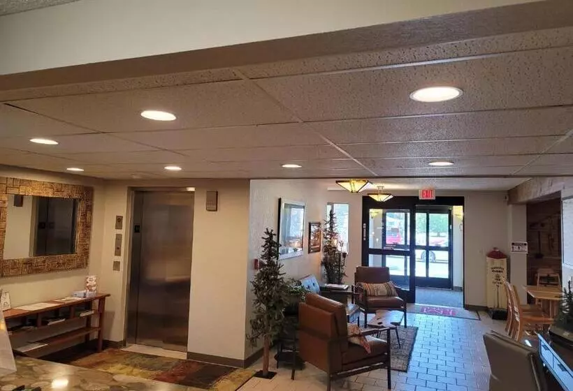 مُتل I M Hotel By Timberlake