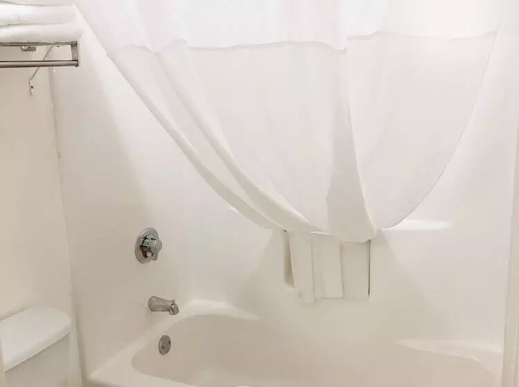 汽车旅馆 Super 8 By Wyndham Three Rivers