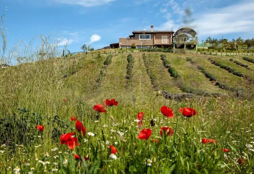 Aamiaismajoitus (B&B) B.o. Spa Suite