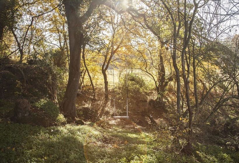 Nocleg ze śniadaniem B.o. Spa Suite