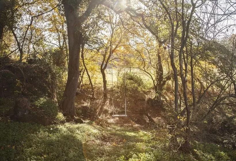 Aamiaismajoitus (B&B) B.o. Spa Suite