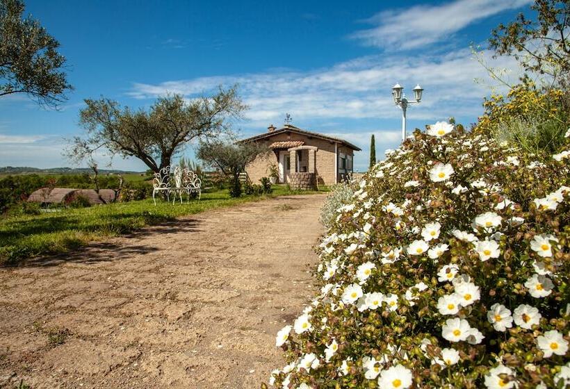 Nocleg ze śniadaniem B.o. Spa Suite