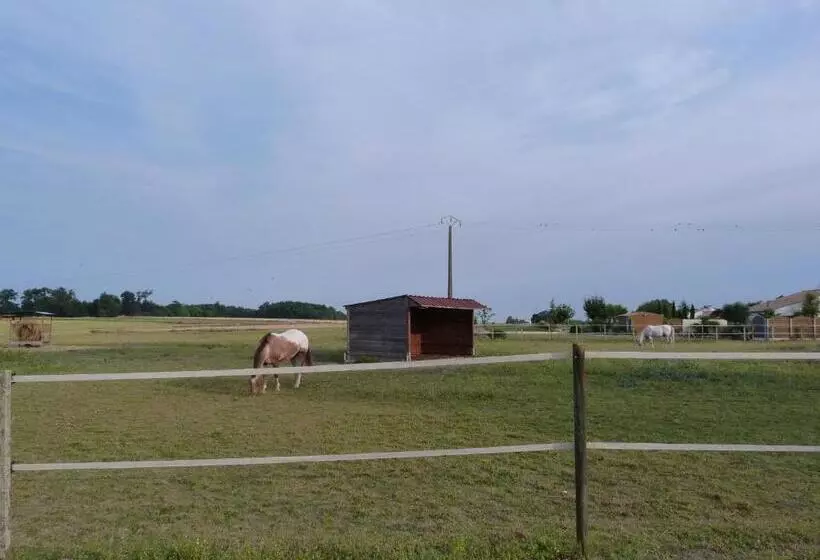 Aamiaismajoitus (B&B) Chambre D'hôtes Les 3 Moulins