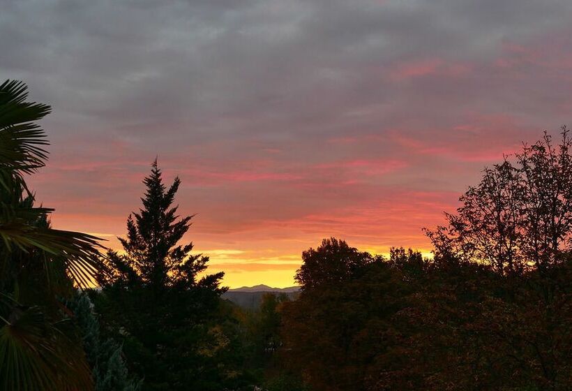 Bed and Breakfast Chambres D Hotes A L Ombre Du Saule