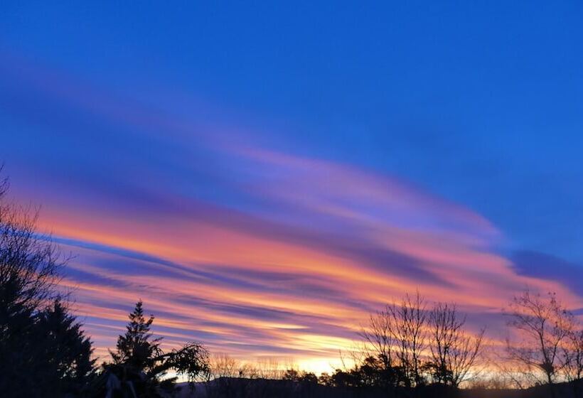 Bed and Breakfast Chambres D Hotes A L Ombre Du Saule