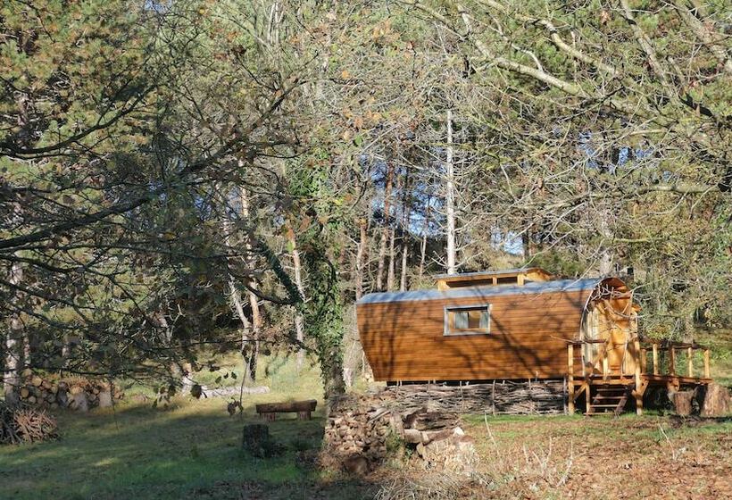 Bed and Breakfast Chambres D Hotes A L Ombre Du Saule