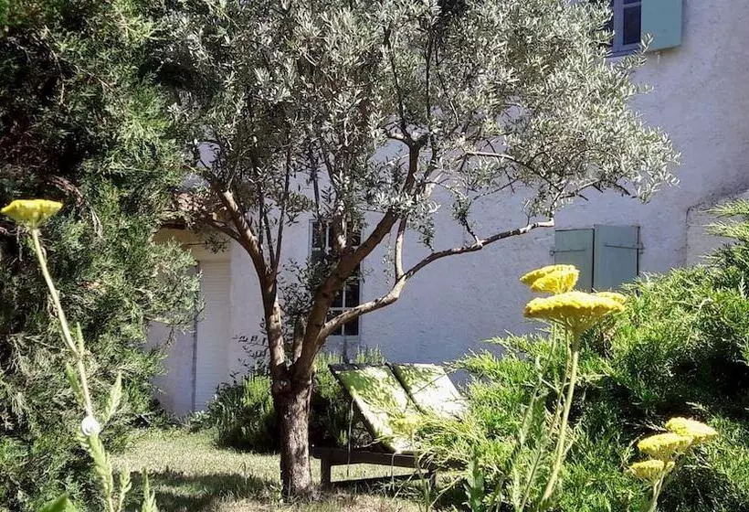 Aamiaismajoitus (B&B) Chambres D Hotes A L Ombre Du Saule