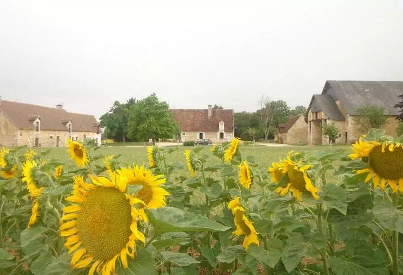 ベッドアンドブレックファースト Gite Et Chambre D Hôtes Du Guillot