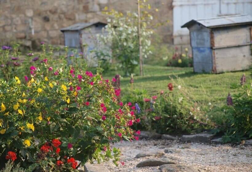 مبيت وإفطار Domaine De Scipion