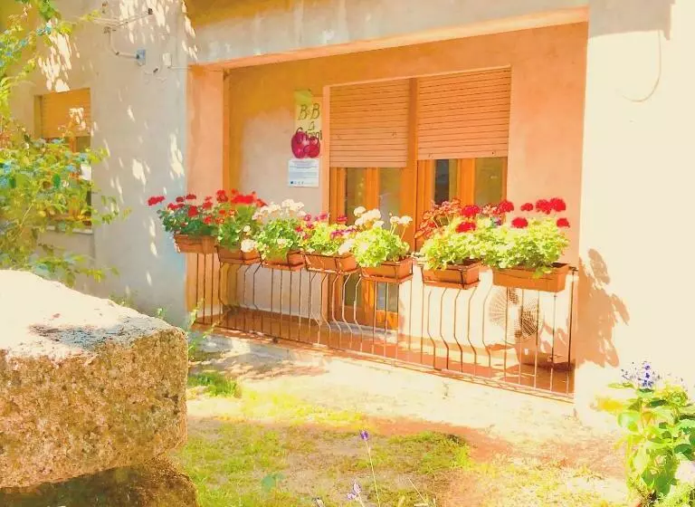 B&b Li Criasgi