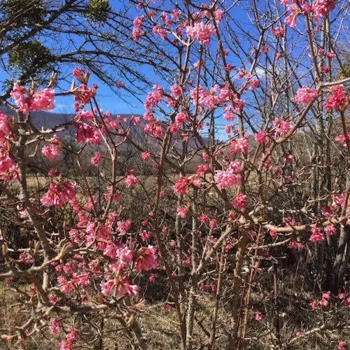 ベッドアンドブレックファースト Le Moulin De La Viorne, Gîte Modulable Avec Piscine En Haute Provence