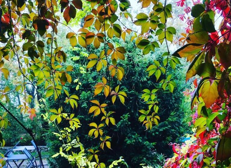 צימר Le Moulin De La Viorne, Gîte Modulable Avec Piscine En Haute Provence