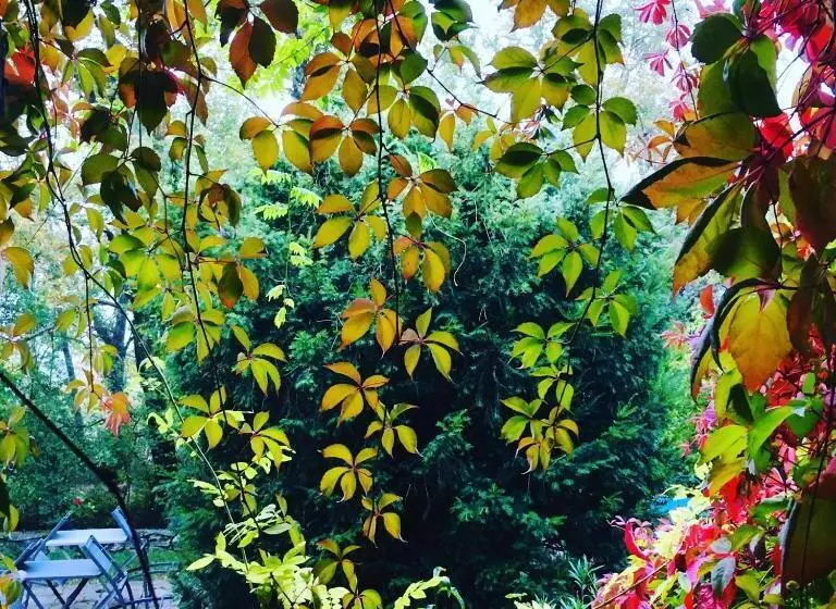 ベッドアンドブレックファースト Le Moulin De La Viorne, Gîte Modulable Avec Piscine En Haute Provence