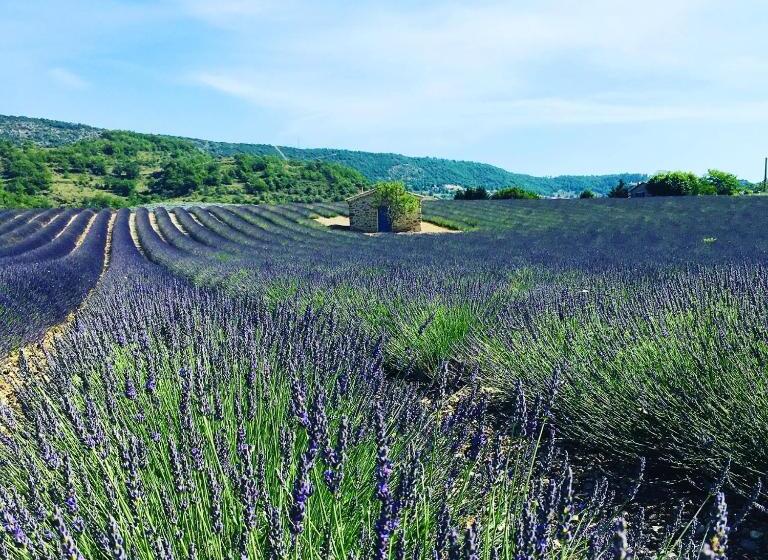 צימר Le Moulin De La Viorne, Gîte Modulable Avec Piscine En Haute Provence