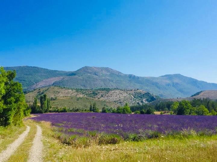 צימר Le Moulin De La Viorne, Gîte Modulable Avec Piscine En Haute Provence