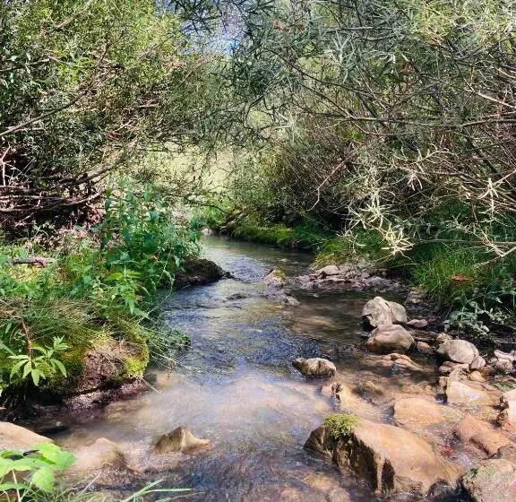 ベッドアンドブレックファースト Le Moulin De La Viorne, Gîte Modulable Avec Piscine En Haute Provence