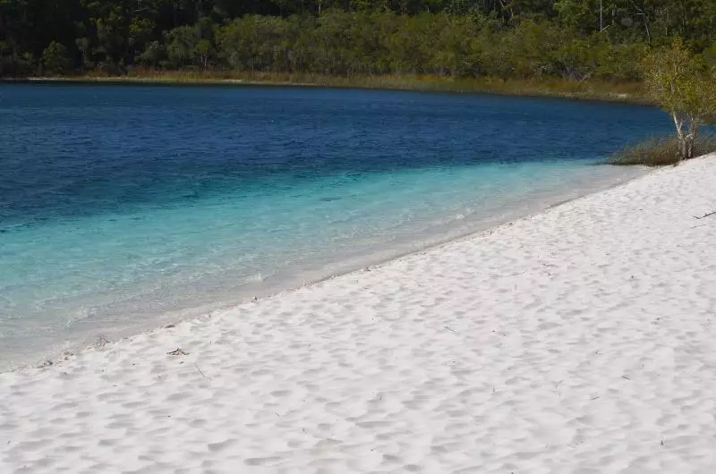 Fraser Views Bed And Breakfast