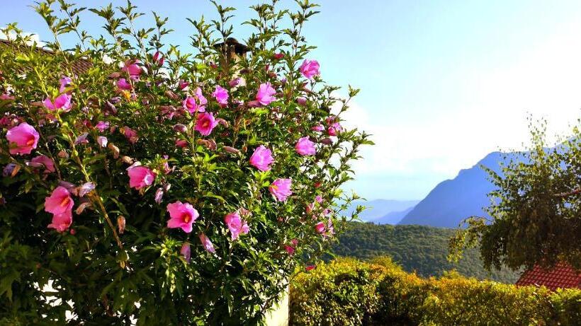 호텔 Ristorante Bellavista Con Locanda