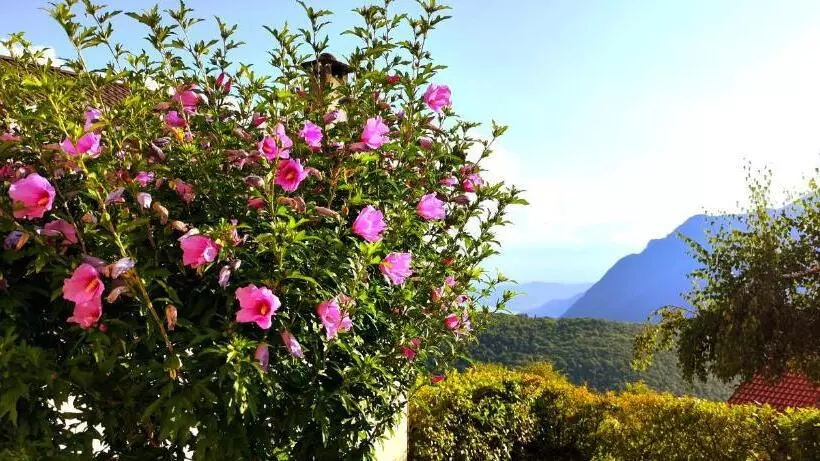 ホテル Ristorante Bellavista Con Locanda