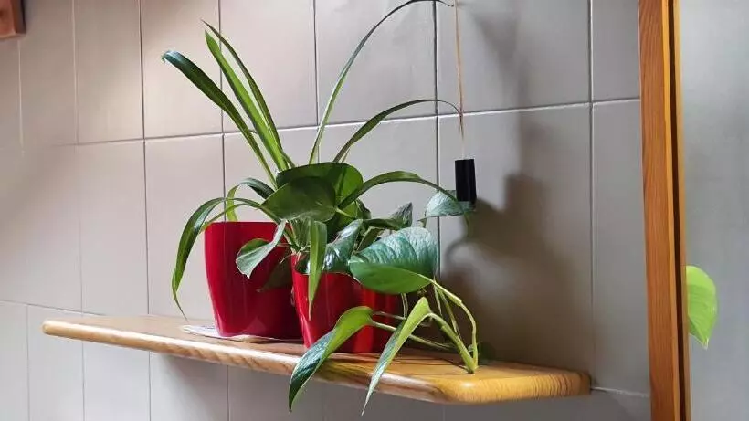 ホテル Ristorante Bellavista Con Locanda