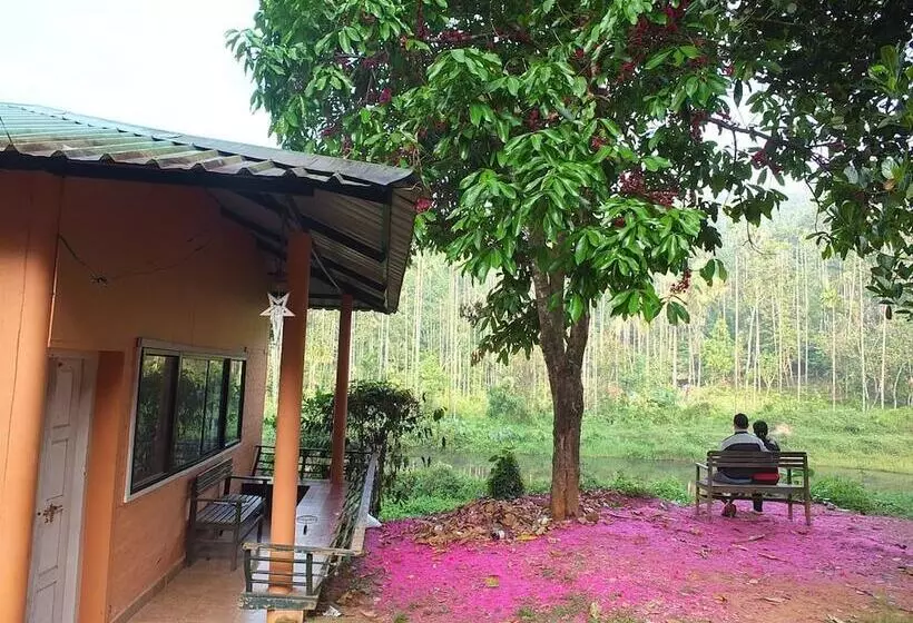 Hotelli Jungle Valley Resort