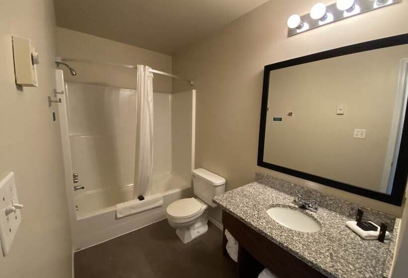 酒店 Lake Cowichan Lodge