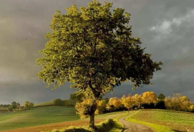 Majatalo Chez Zen Holistic Retreats