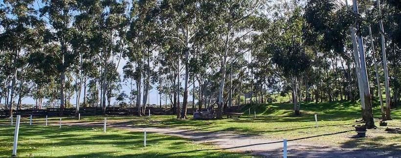 Курорт Kalgan River Chalets And Caravan Park